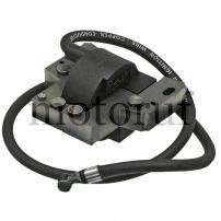Gardening and Forestry Ignition coil