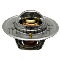 Agricultural Parts Thermostat