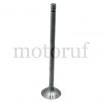 Agricultural Parts Inlet/exhaust valve