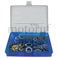 Top Parts Assorted serrated lock washers