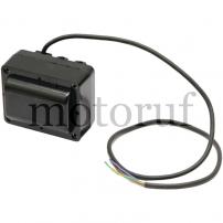 Gardening and Forestry Ignition transformer