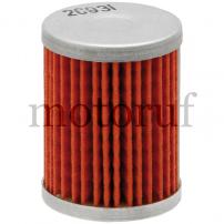 Gardening and Forestry Fuel filter