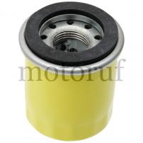 Gardening and Forestry Engine oil filter