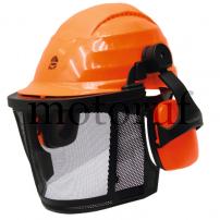 Gardening and Forestry Head protection combination