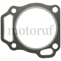 Gardening and Forestry Cylinder head gasket