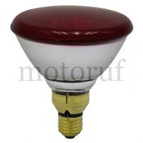 Top Parts Infrared-Light-bulb