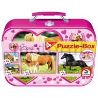 Toys Horse, Puzzle Box