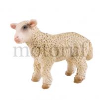 Toys Lamb