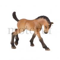 Toys Trakehner Foal