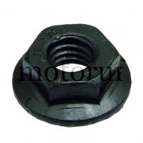 Industry and Shop Flange nut