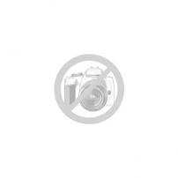 Massey Ferguson BELT:V TYP:A X 78.0 LG POLY