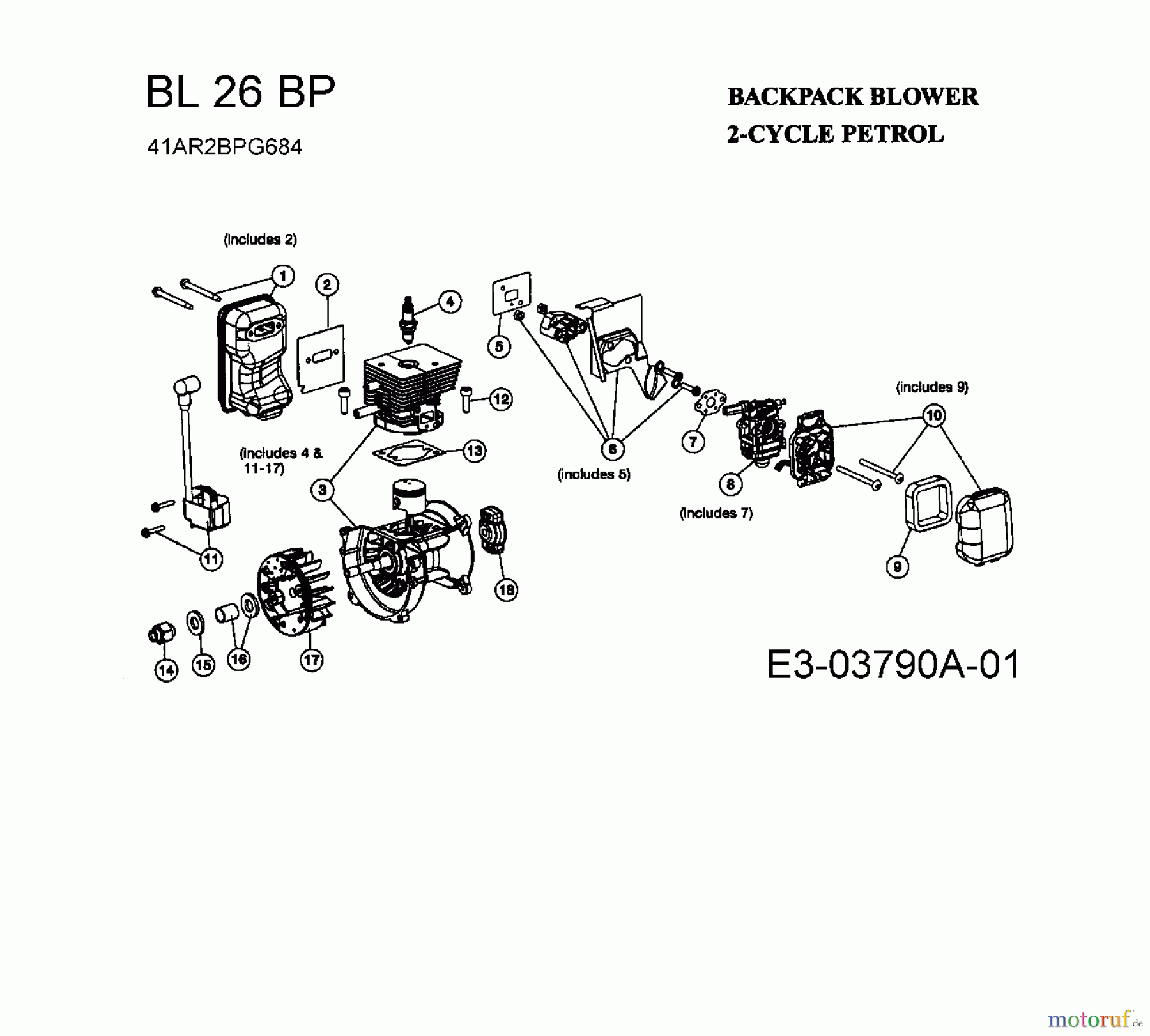  Bolens Chipper, Vac, Compost shredder BL 26 BP 41AR2BPG684  (2008) Engine