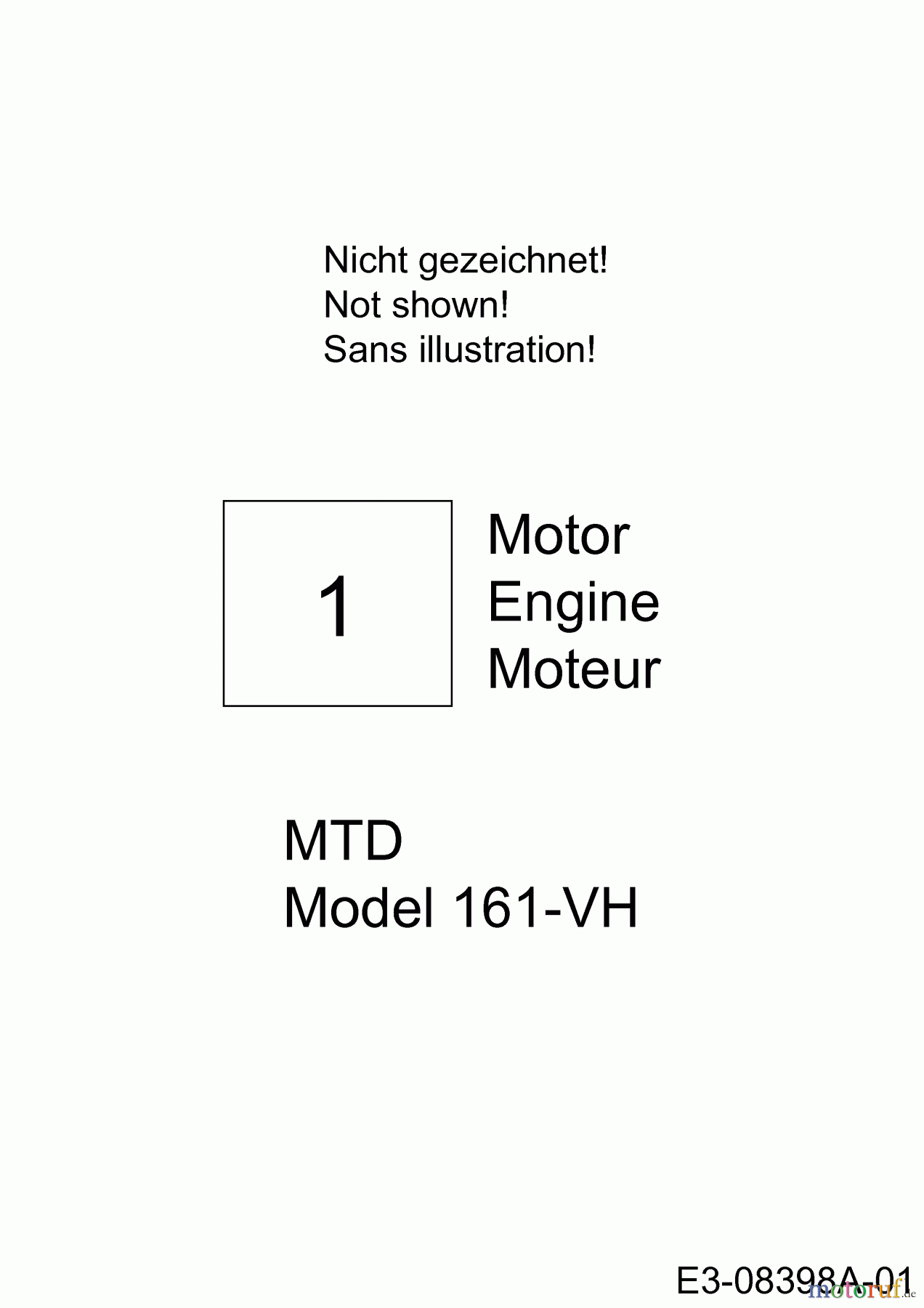  MTD Petrol verticutter VG 40 BM 16CH5AMQ600  (2013) Engine MTD