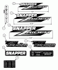 Snapper ZF2100DKU (84342) - 21 HP Zero-Turn Mower, Kubota, Out Front, Z-Rider Series 0 Spareparts Decals (Part 1)