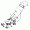 Snapper ESPV21875EXAL (881639) - 21" Walk-Behind Mower, 875 Series (Export) Listas de piezas de repuesto y dibujos Decals Group