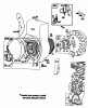 Toro 62912 - 5 hp Lawn Vacuum, 1984 (4000001-4999999) Listas de piezas de repuesto y dibujos ENGINE BRIGGS & STRATTON MODEL NO. 130202-1640-01 #2